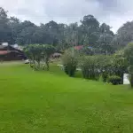 Tratamentos de dependência química no Brasil