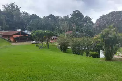 Tratamentos de dependência química no Brasil