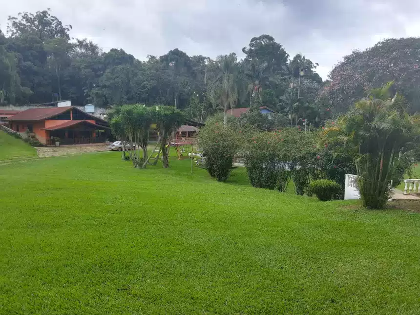 Tratamentos de dependência química no Brasil