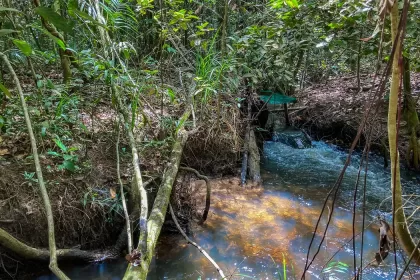 Fronteira entre Amazônia e Cerrado: clima deve comprometer viabilidade de 74% das terras agrícolas até 2060