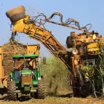 Preço do açúcar inicia a semana em queda