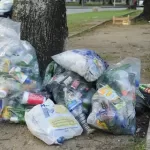 LIXO: destino dos resíduos ainda é desafio para 43% dos municípios brasileiros