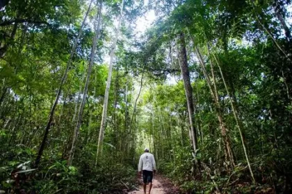 Marco legal do hidrogênio verde: o que muda com a regulamentação do mercado no Brasil