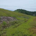 Barragem Sul Superior: ANM reduz nível de emergência de 3 para 2