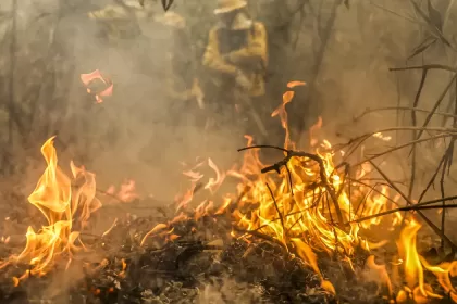 Queimadas: Fávaro anuncia Plano Safra 24/25 com acesso a financiamentos para produtores afetados