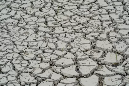 Seca extrema: ação humana é uma das causas principais do fenômeno climático