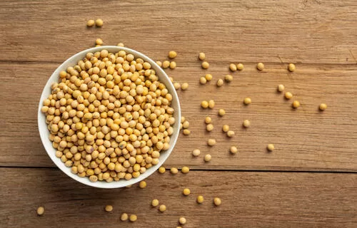 Soja sofre alta no preço e é negociada a R$ 134,76, no Paraná