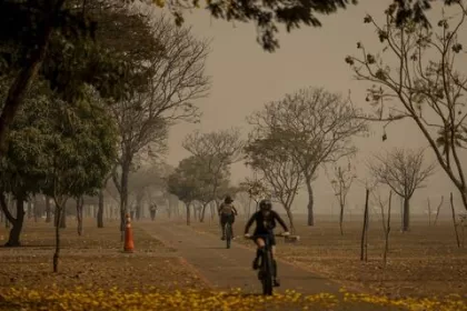 Queimadas: setor estima perda de mais de 400 mil hectares de cana-de-açúcar em todo o país