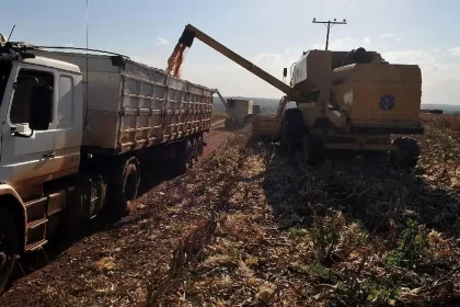PIB da agropecuária cai 0,9%: entenda influências