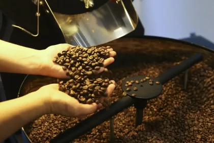 Café arábica segue em alta e saca custa R$ 2.398,06