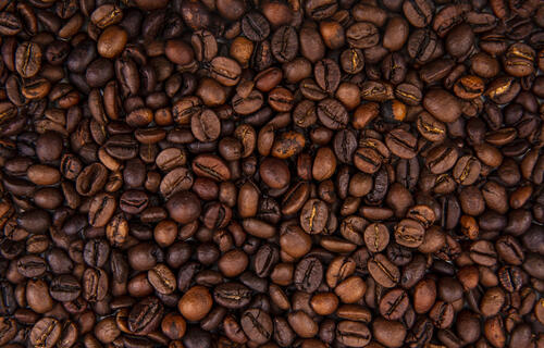 Café arábica recua 0,11% e saca custa R$ 2.766,37