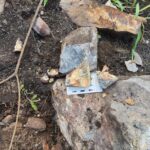 Urânio: SGB descobre potencial para exploração em depósito paraense