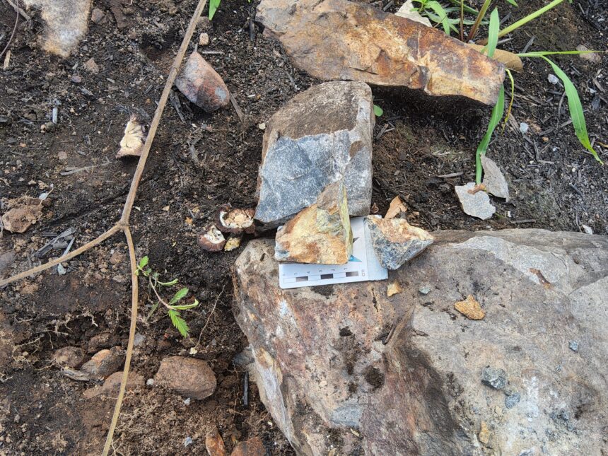 Urânio: SGB descobre potencial para exploração em depósito paraense