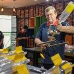 OBA e OBAFOG abrem inscrições gratuitas para estudantes de todo o Brasil