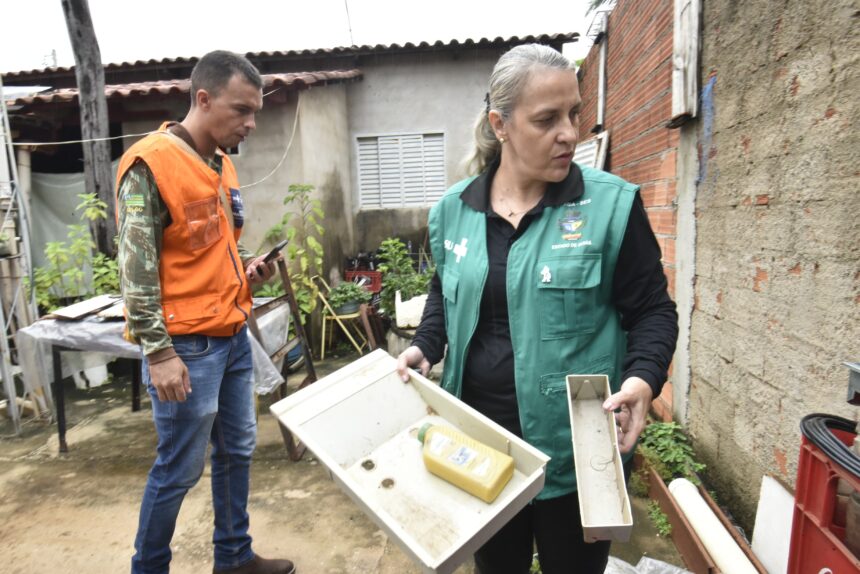 Goiânia (GO): município registra mais de 21 mil casos e sete mortes por dengue em 2025