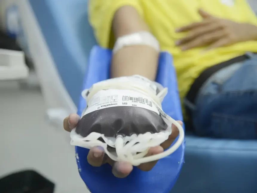 Junho Vermelho: cada doação de sangue pode salvar até 4 vidas