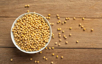 Soja: preço da saca sofre alta, nesta segunda-feira (16), no interior do Paraná