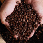 Café arábica tem queda no preço nesta quinta-feira (31)