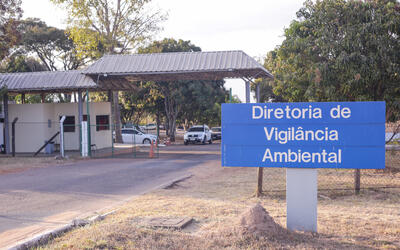 Casos de raiva em morcegos no DF são confirmados e esclarecidos por bióloga