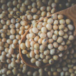 Soja apresenta queda no litoral do Paraná