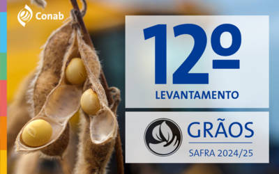 Safra 2024/25 atinge recorde histórico de 350,2 milhões de toneladas de grãos