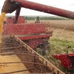 Valor Bruto da Produção do Agro atinge R,4 trilhão em agosto
