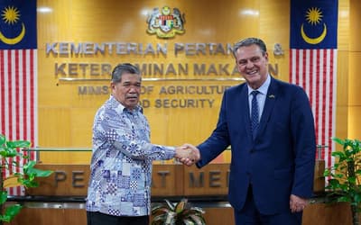 Brasil e Malásia retomam comércio de frango e ampliam mercado agropecuário