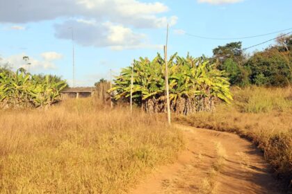 Prorrogado prazo para georreferenciamento de imóveis rurais