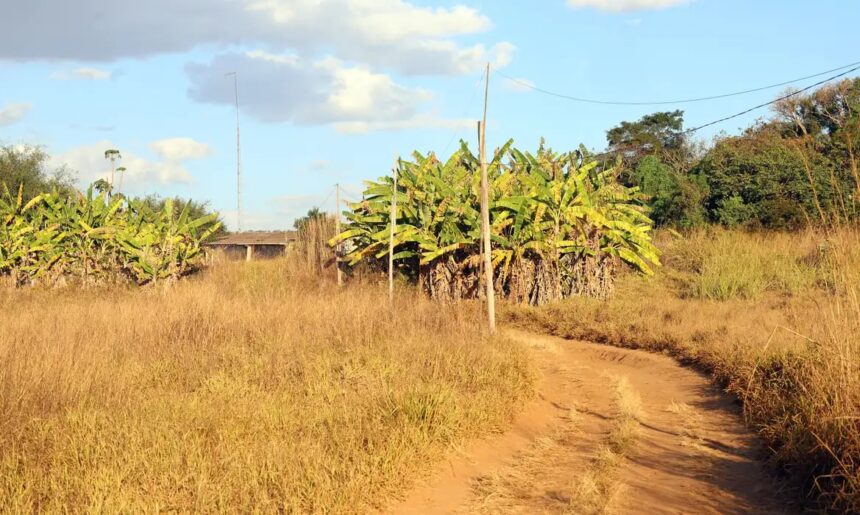 Prorrogado prazo para georreferenciamento de imóveis rurais