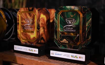 COP30: ações promovidas pela ApexBrasil dão visibilidade global a produtos compatíveis com a floresta