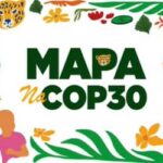 Mapa lidera agenda do agro sustentável na COP 30
