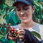 Vice-presidente Alckmin e ministro Carlos Fávaro alinham avanços tarifários com setores de castanhas, café e carnes