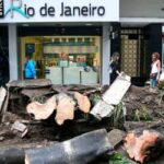 Senado aprova descriminalização de poda de árvore em caso de risco de acidente