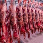 Brasil amplia exportação de carne bovina ao Vietnã