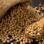 Soja e trigo: confira as cotações de preço para esta terça-feira (3)