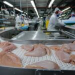 Conflito no Oriente Médio deve encarecer carnes de frango, suína e ovos