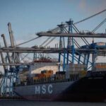 Chegam à China primeiras remessas brasileiras de DDGS