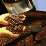 Café hoje: confira cotações para esta quinta-feira (14)
