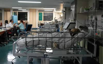 Alerta para SRAG: Casos de Síndrome Respiratória Aguda Grave aumentam em todo o Brasil (28)