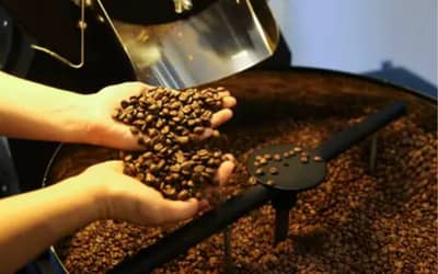 Café, açúcar e milho: preços registram variações em São Paulo