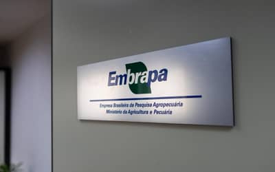 Embrapa e Grupo Carrefour Brasil assinam parceria para fortalecer a cadeia agroalimentar (2/05)