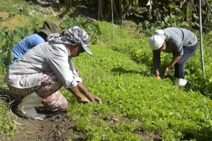 Congresso Nacional e setor produtivo buscam soluções para endividamento rural (dia 18)