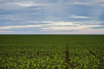 Projeto de Lei 2951/24: Um Passo Adiante na Proteção dos Produtores Rurais (Aguarda Análise no Senado Federal)