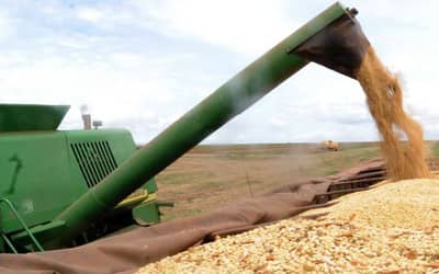 Agronegócio responde por 45,7% das exportações brasileiras e cresce 14% em junho