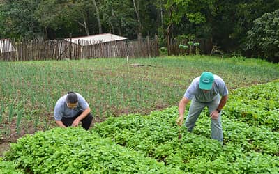 Desenrola Rural no Banco da Amazônia: agricultores familiares podem renegociar dívidas com descontos de até 80%