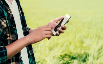 Mais de 50 localidades rurais no Piauí recebem sinal de internet 4G nos últimos três anos (até março de 2024)