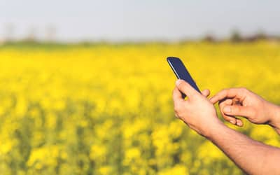 23 novas localidades rurais no Tocantins ganham sinal de internet 4G nos últimos três anos (até março de 2024)