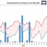 INMET emite alerta fitossanitário para lavouras de trigo no Sul após aumento das chuvas
