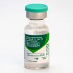 Ministério da Saúde estende campanha de vacinação contra HPV para jovens de 15 a 19 anos até o fim de 2026
