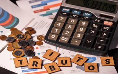 Reforma Tributária sobre o Consumo obriga entidades sem fins lucrativos a revisarem suas operações